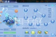 探秘龙宫终极技能搭配攻略（揭秘龙宫技能组合的奥秘）