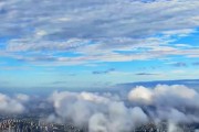探秘虚无之虫森林（揭开虚无之虫森林的迷雾，争取取得最终的胜利）