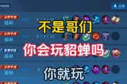 《貂蝉攻略新手入门出装》（战场之花的绽放，新手必知攻略！）