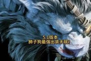 狮子狗线上出装攻略视频（学习最佳出装搭配，让狮子狗在游戏中无往不利）