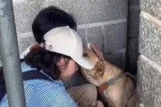 小狗村庄逃脱攻略（探索小狗村庄的秘密，找到逃脱的关键！）